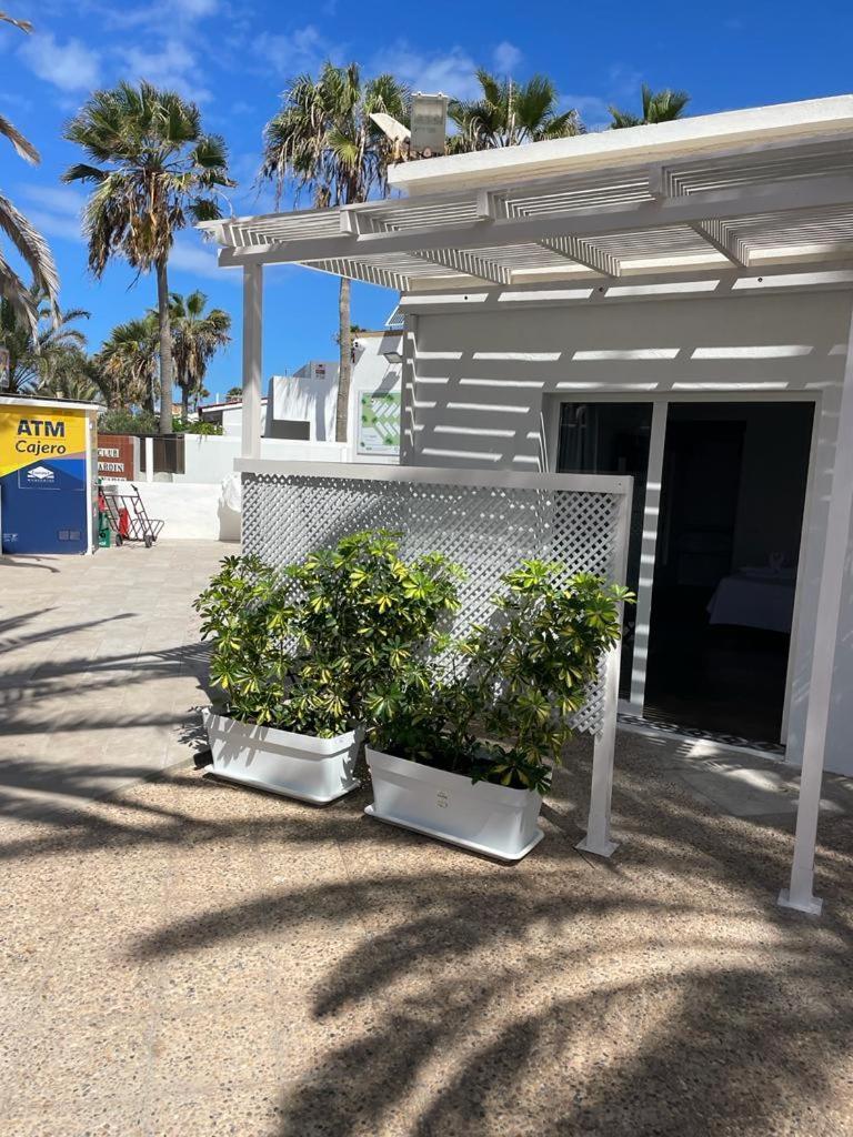 Apartamentos Punta Elena Beach Corralejo Exteriör bild