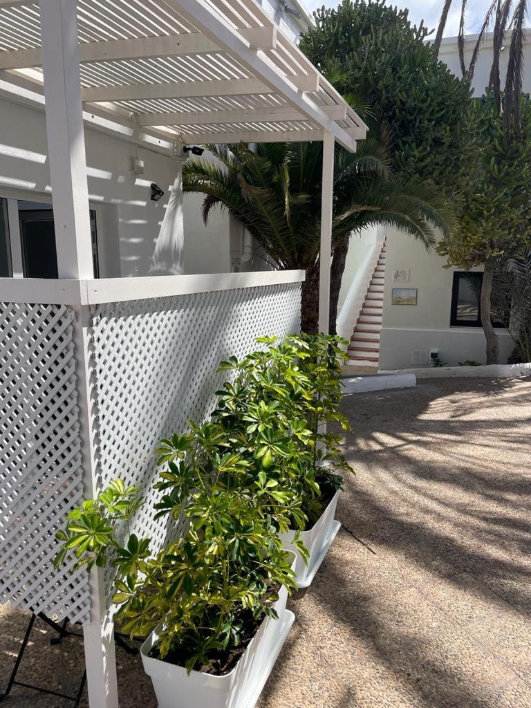 Apartamentos Punta Elena Beach Corralejo Exteriör bild